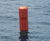Hauraki Fenders being used as practice rounding buoys and marks for the TP52 Sled